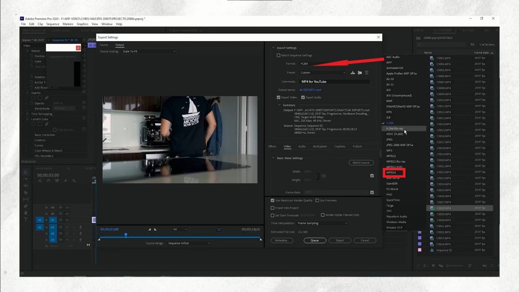 File Format