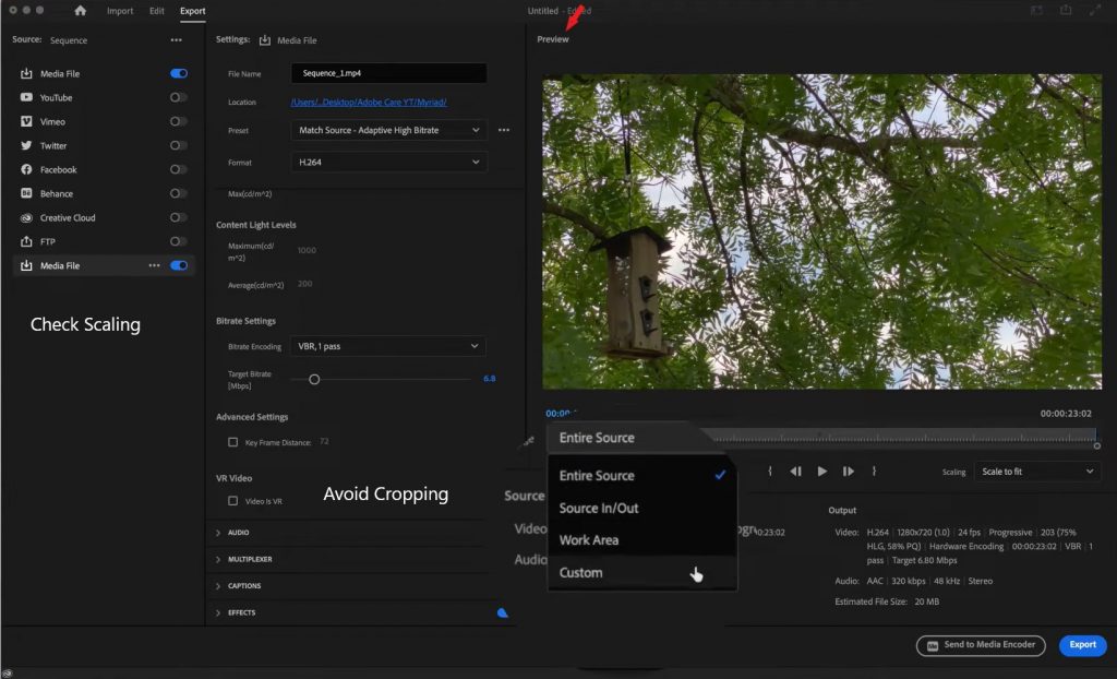 Before Exporting